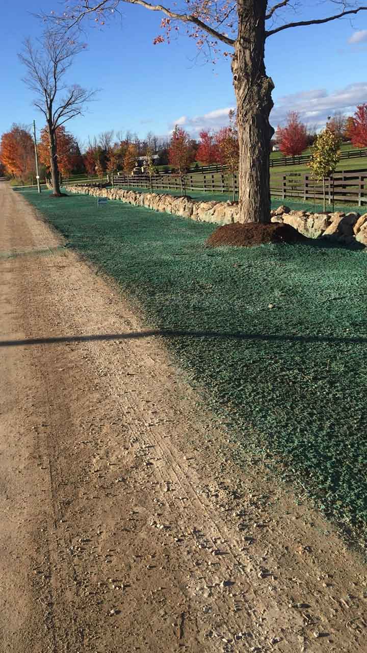 acreage-portrait-feature-home-page-cyc