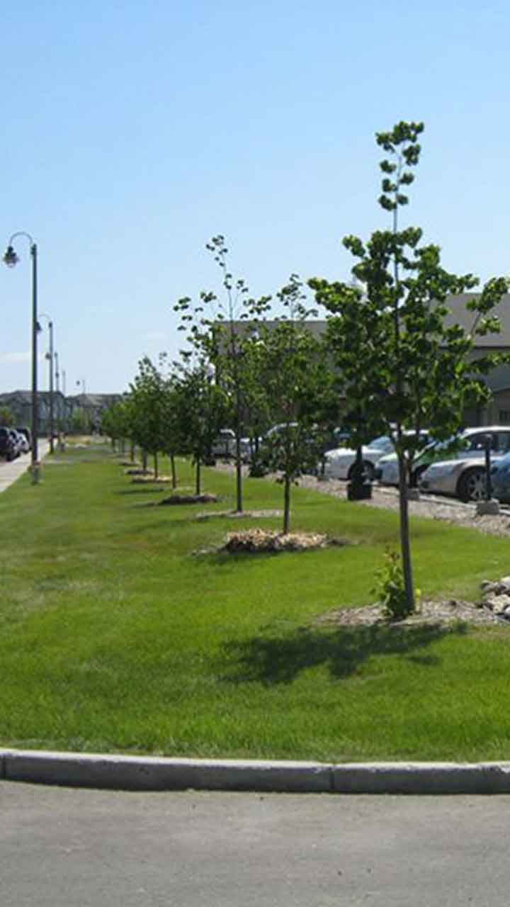 commercial-landscaping-placeholder