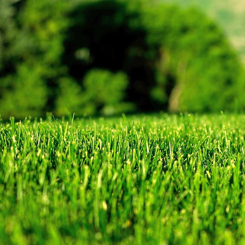 drill-press-grass-seeding-feature-box