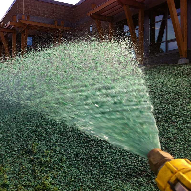 hydro-seeding-grass-seeding-feature-box