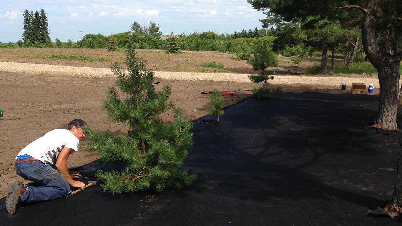 weed-barrier-mulch-wood-cyc-1